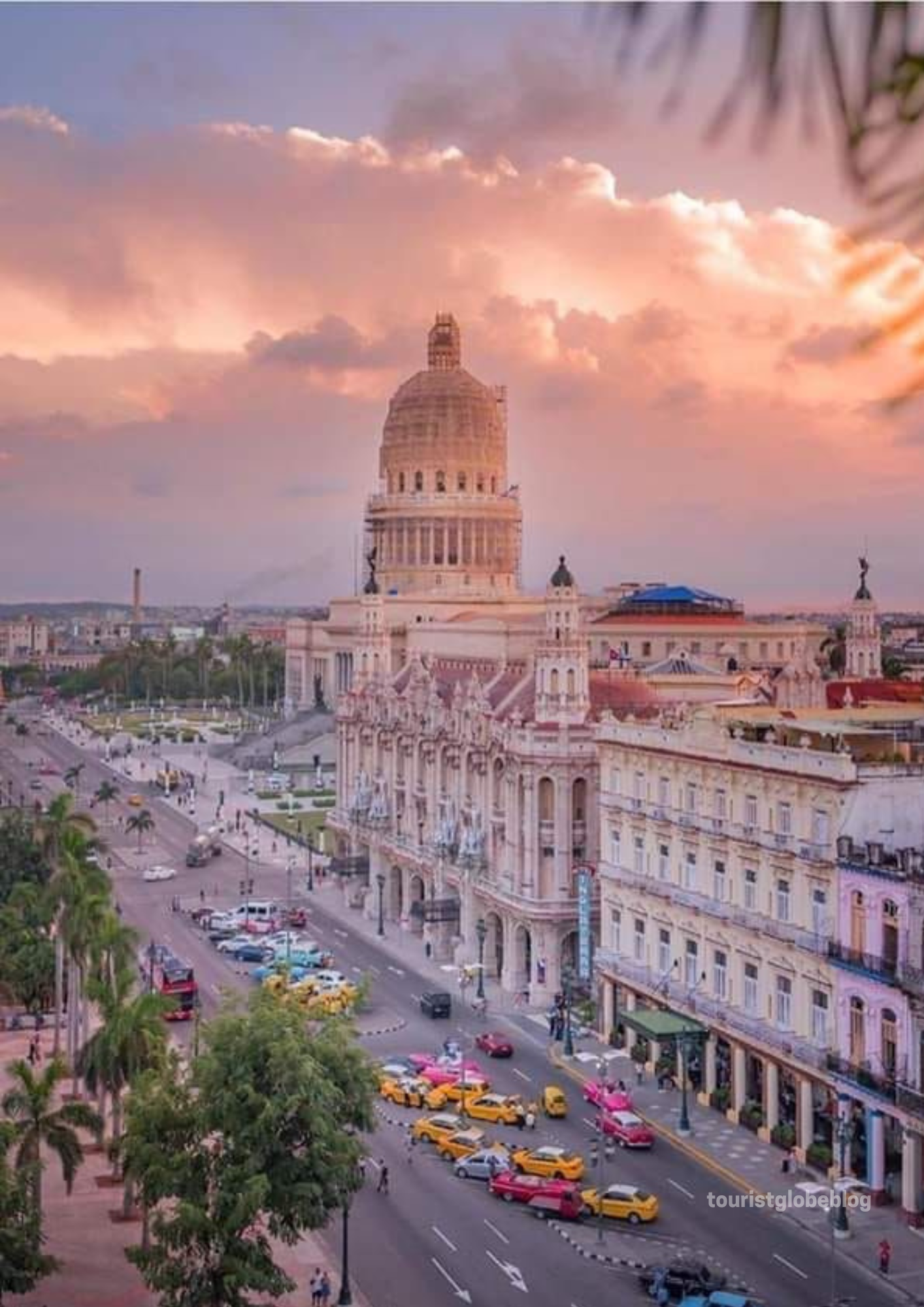 Reviews of Little Havana: Cuba in the Center of Miami