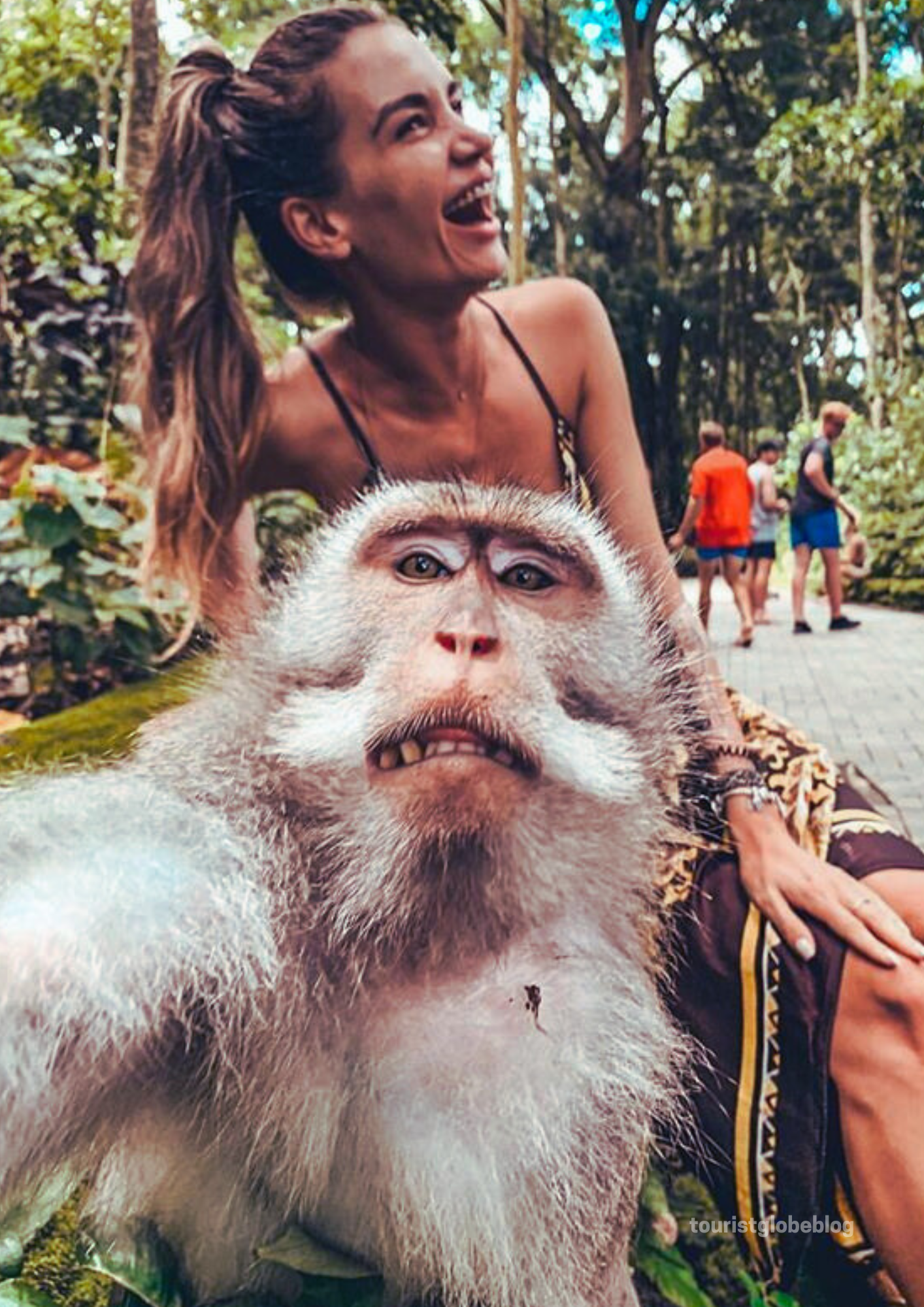 Ubud Monkey Forest