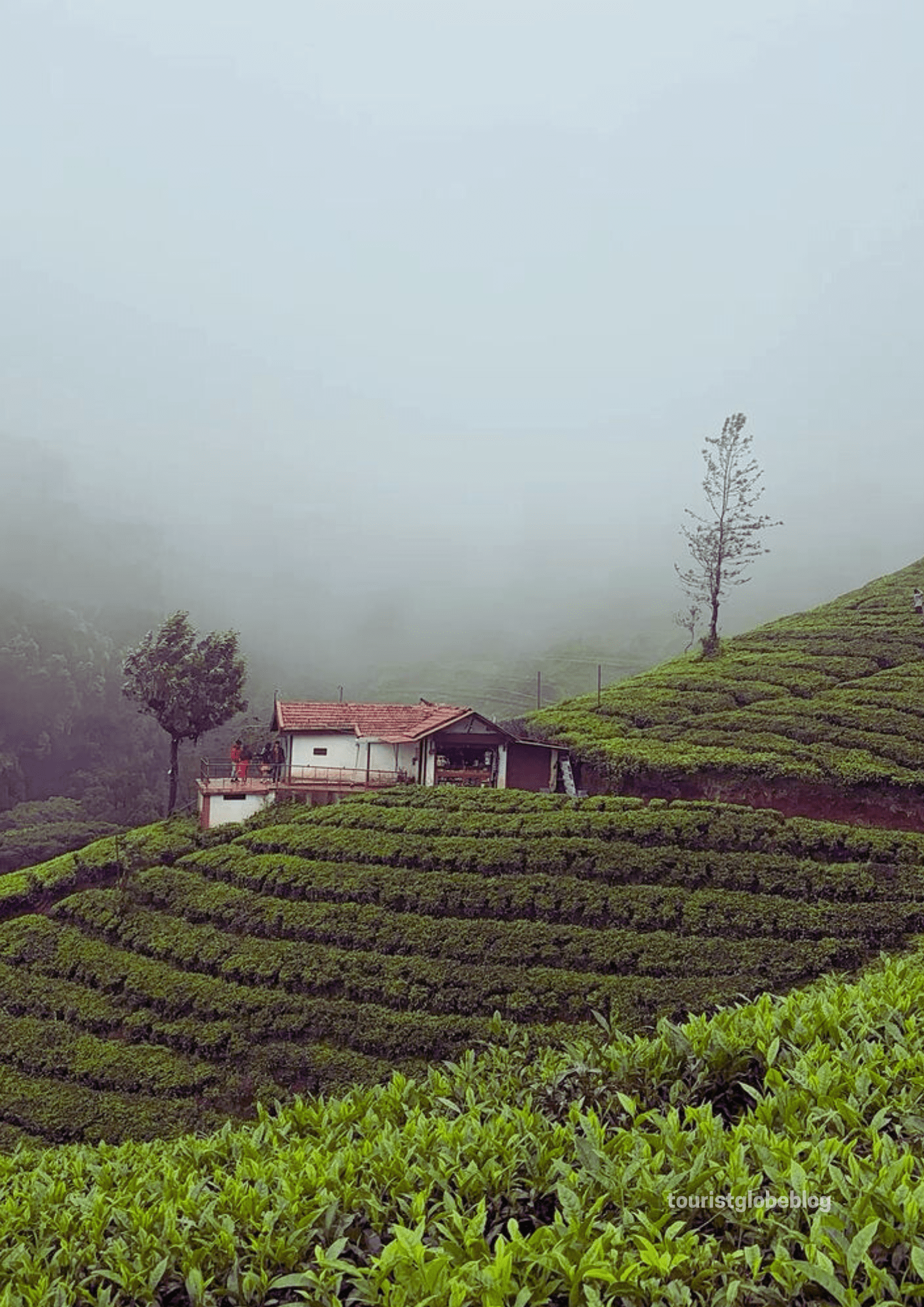 Ooty