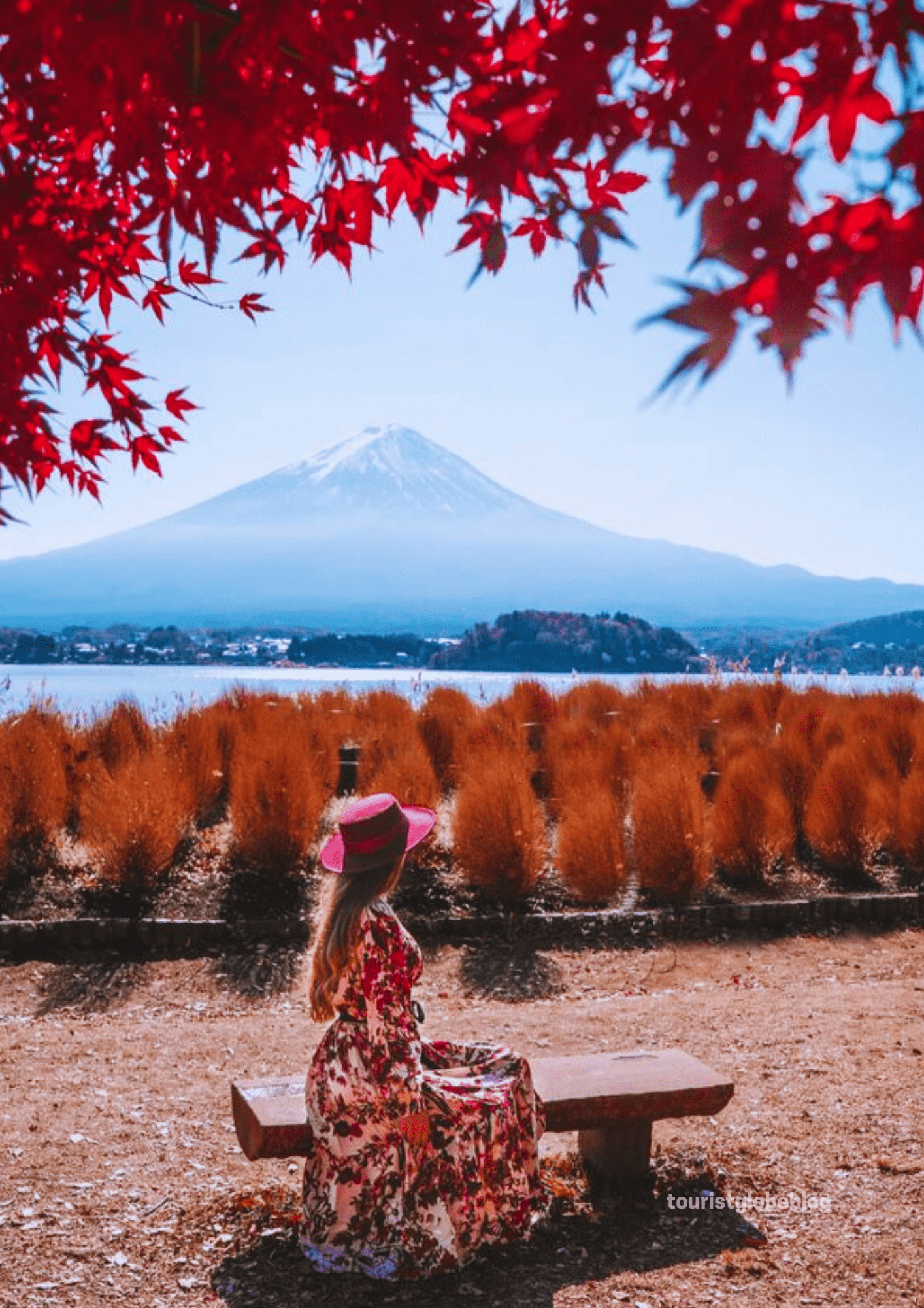 Oishi Park in Japan