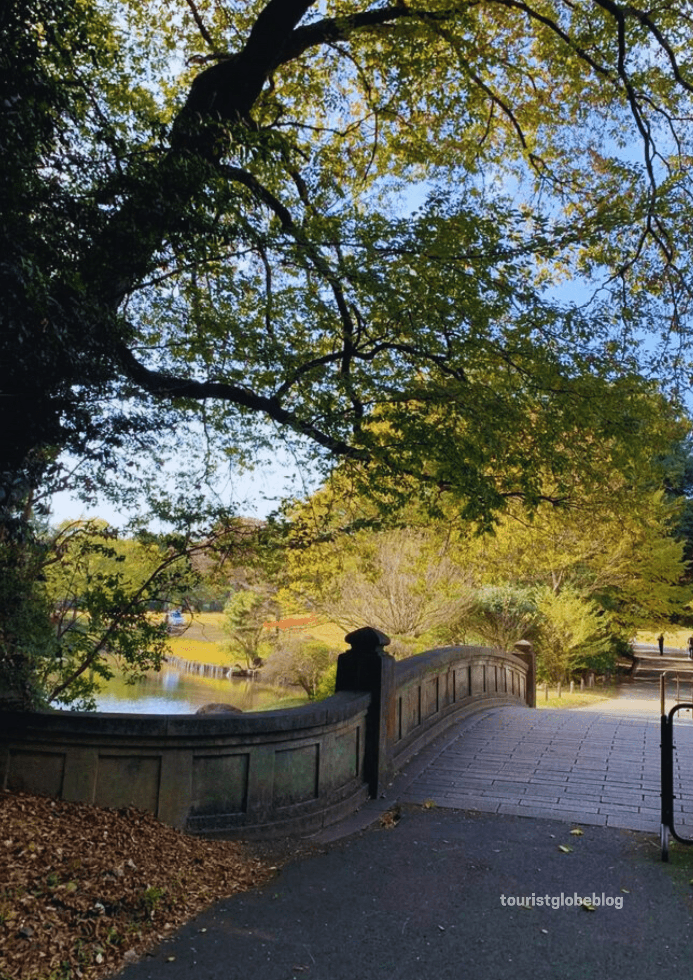 Yoyogi Park