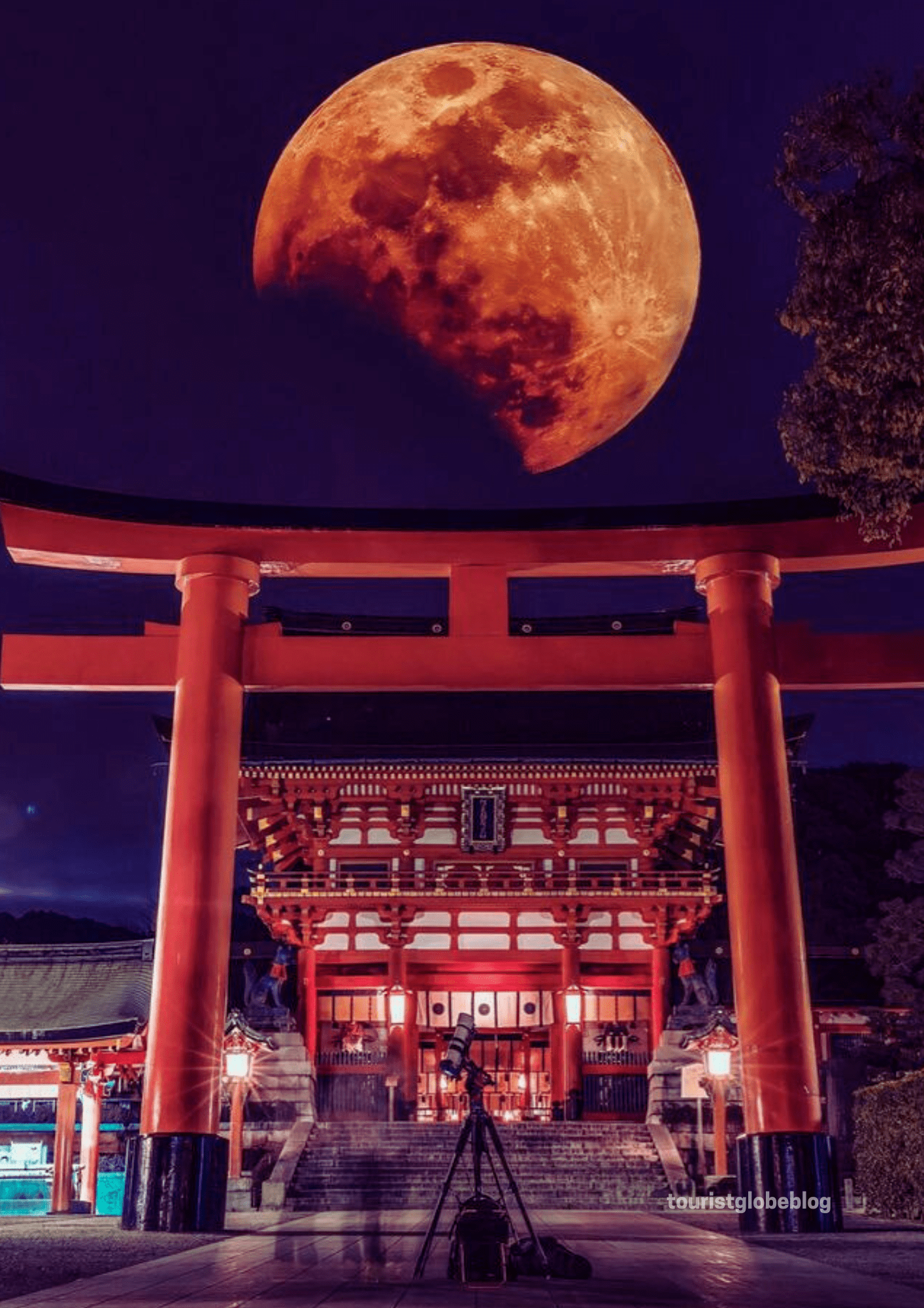 Hakone Shrine at Night