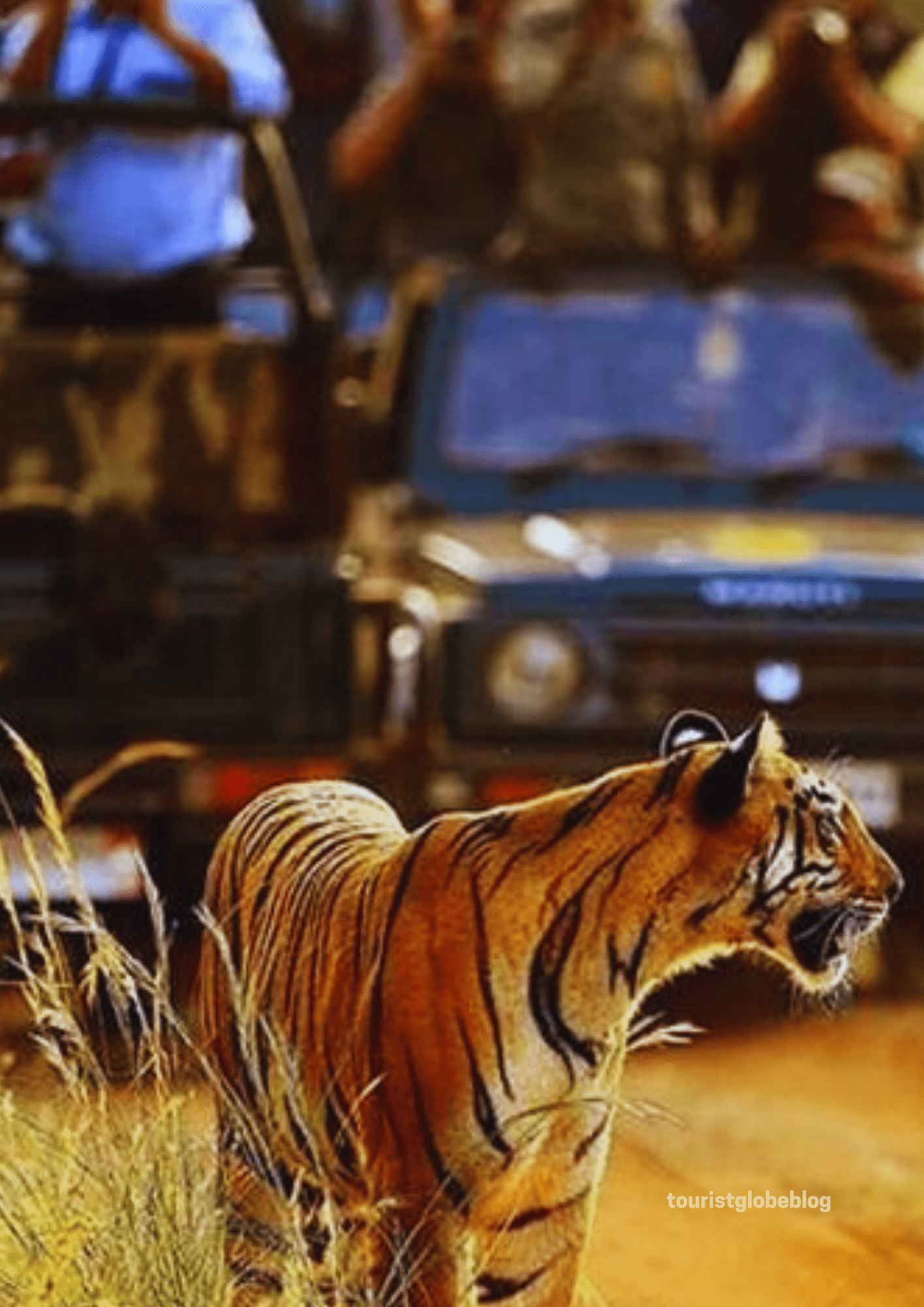 Ranthambore National Park