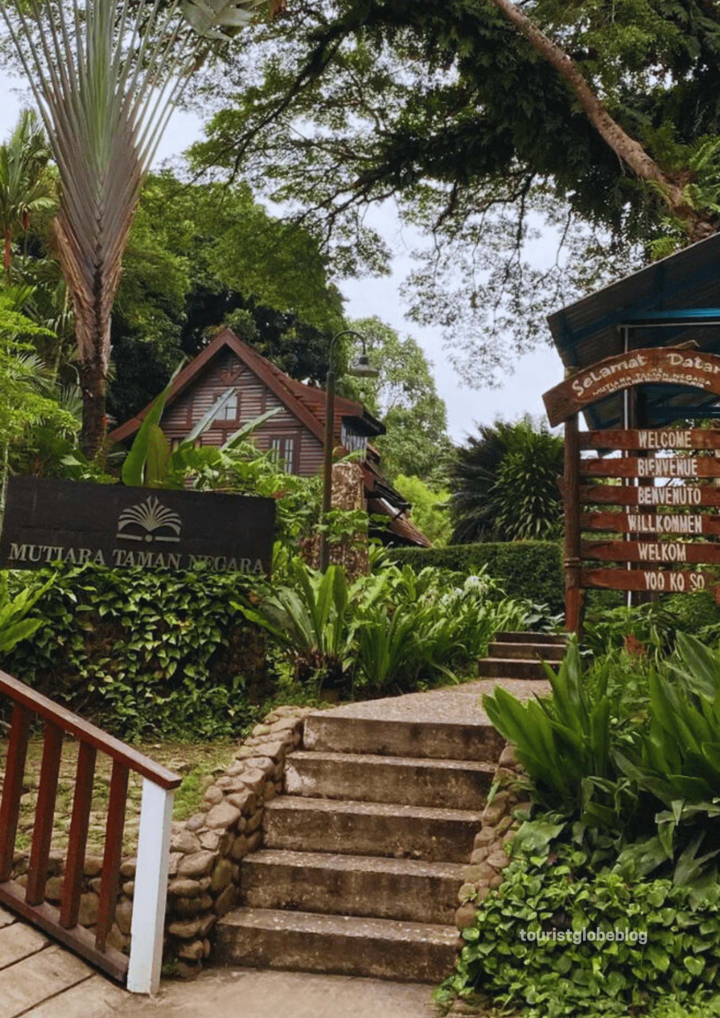 Taman Negara National Park